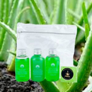 pack aloe vera lanzaloe