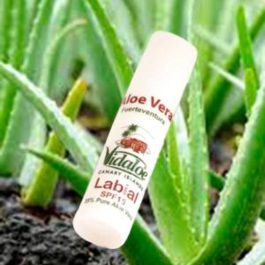 stick labial aloe vera